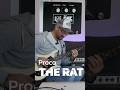 Proco the RAT 🔥 #legendaseffektek #koroditomi #youtubeshorts #shorts #shortvideo
