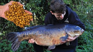 How to Prepare Carp fishing particles