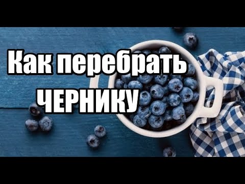 Как Перебрать Чернику Быстро от листьев и мусора. Лайфхак.