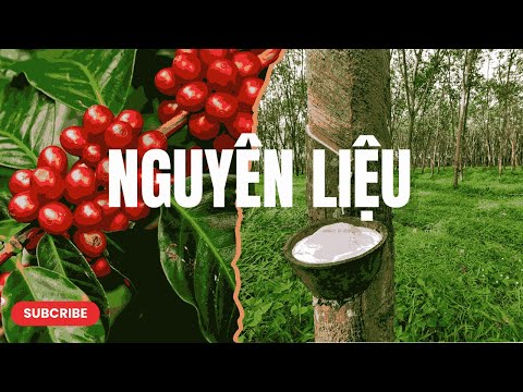 Nhận Định 04.02.2026 | Nhóm Nguyên Liệu