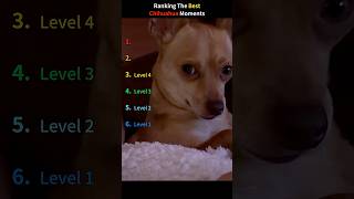 share today’s happiness.#dog #funny #funnydogs #funnyvideos #funnydogvideos
