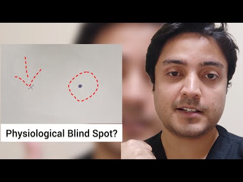 Physiological Blind Spot