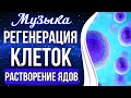 🔵Медитация - Регенерация Клеток и Растворение Ядов | Омоложение и Оздоровление Организма