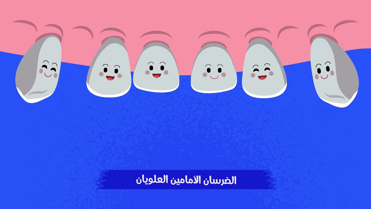 ترتيب ظهور الأسنان عند الطفل تعرف عليها من مراكز اندلسية لطب الاسنان