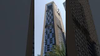 sharjah al qabdah said today blog.