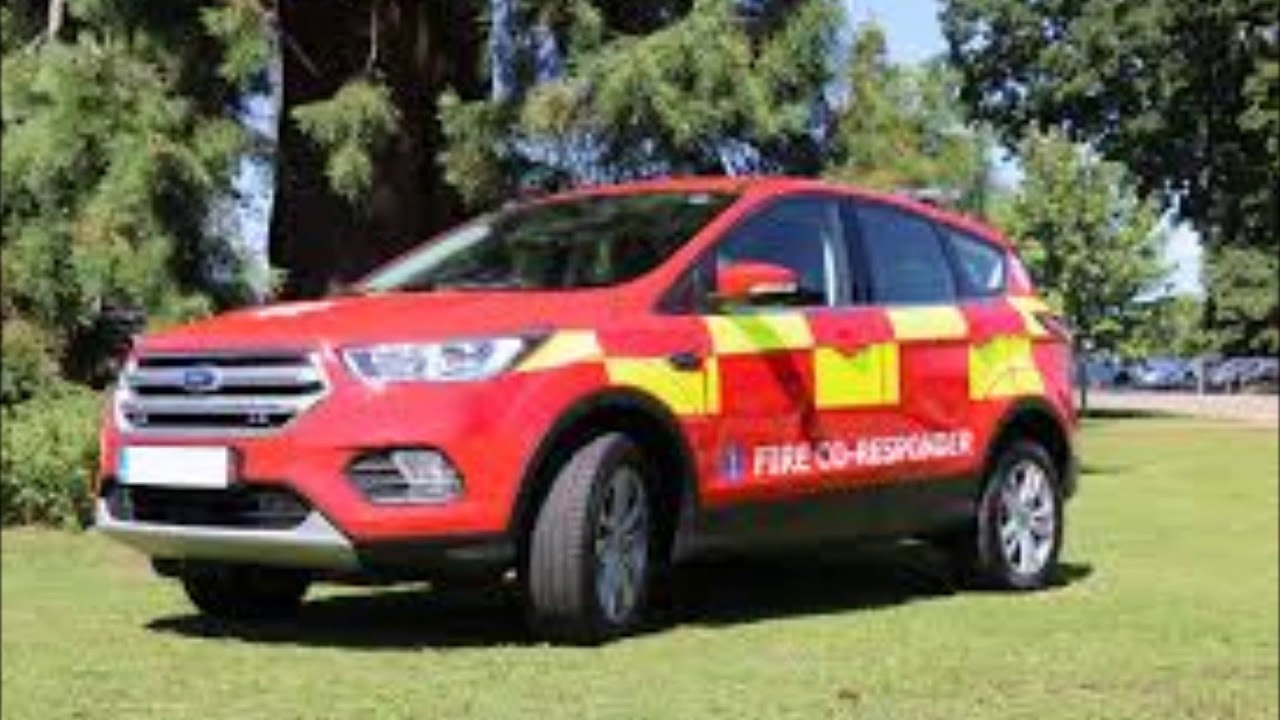 Transformers 7 Robot Cast