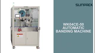 WK04CE-50 Automatic Bagged Laundry Detergent Packing Bundle Banding Machine