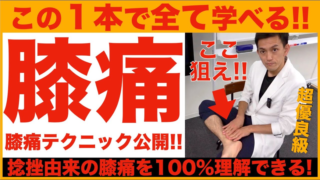 【膝痛治療テクニック公開】99%の膝痛の原因「後脛骨筋リリース」
