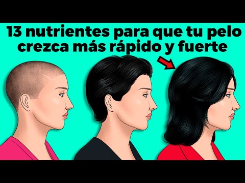 La Guía de las Vitaminas