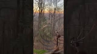 Windy LIJ Sunset