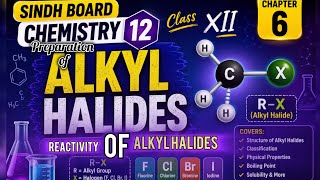 Chapter 6 Alkyl Halides class 12 |Prepration of Alkyl Halides |Reactivity of Alkyl Halides 