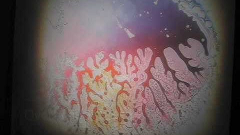 shadowplay prototyping