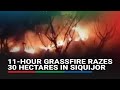 11-hour grassfire razes 30 hectares of grassland in Siquijor | ABS-CBN News