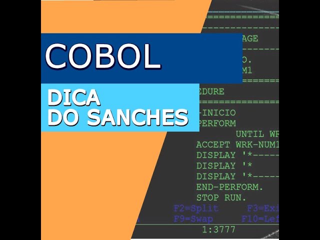 Cobol - Variavel com Unicidade ?