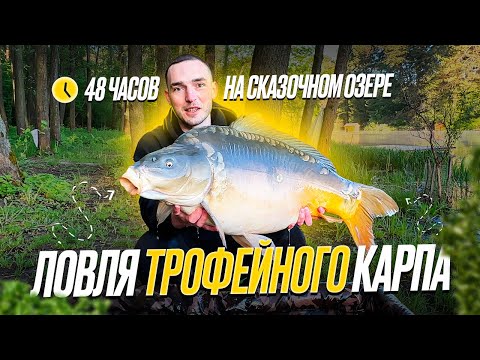 The best carp fishing of my life! 48 hours on a beautiful forest lake