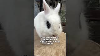 Can Guarantee Youll Want To Keep Coming Back