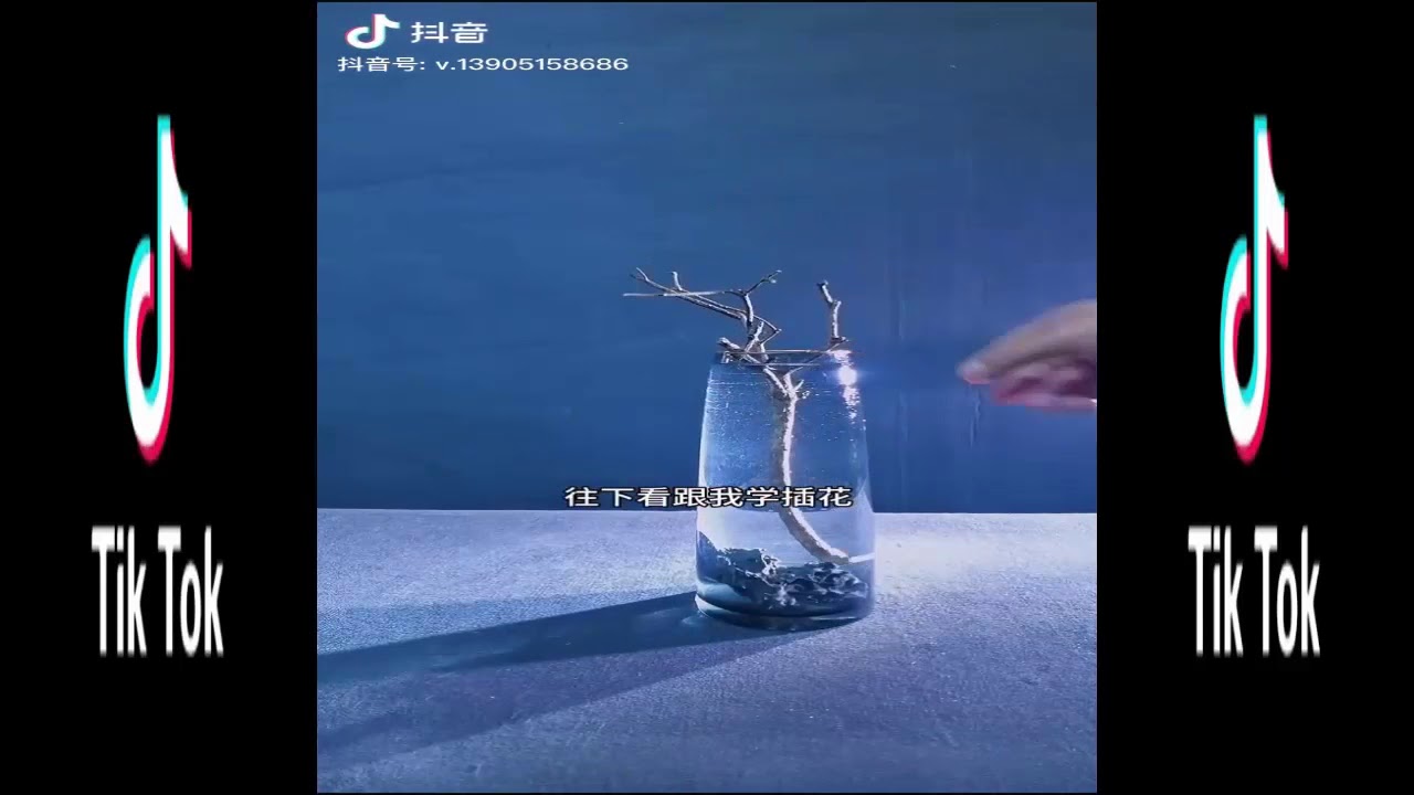 [抖音] Tik Tok Trung Quốc - Nghệ Thuật Cắm Hoa - Đơn Giản Mà Đẹp