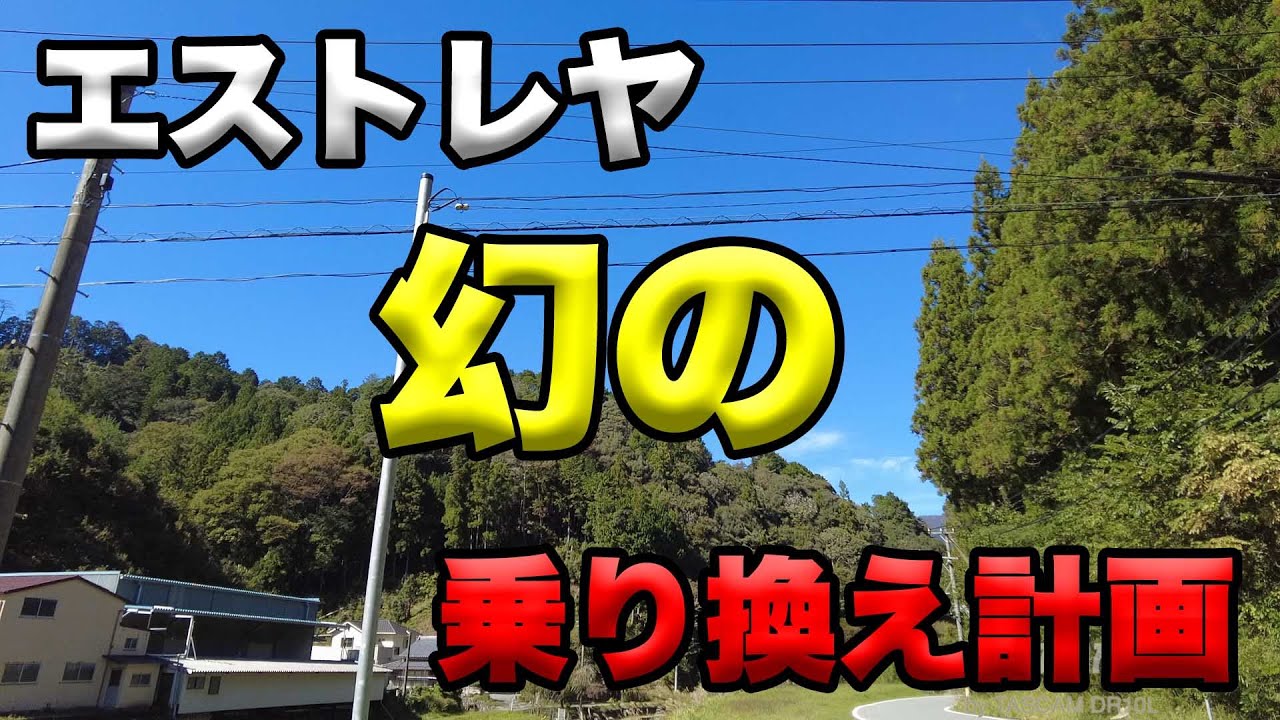 サヘラントロプス❗️ ZXI 8