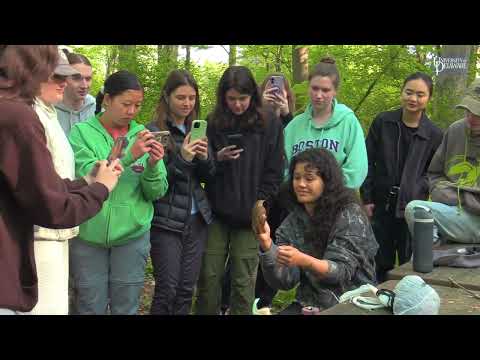 UD wildlife ecology and conservation students go hands-on with birds