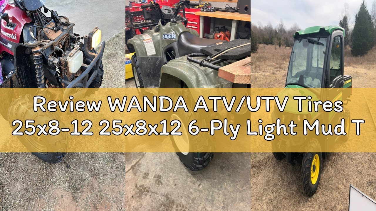 Review WANDA ATV/UTV Tires 25x8-12 25x8x12 6-Ply Light Mud Tires, Set 2-10243