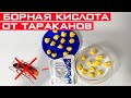 Борная кислота от Тараканов! Бабушкин рецепт отравы от тараканов из борной кислоты!