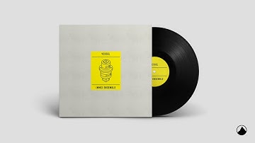 Immix Ensemble & Vessel - De Revolutionibus