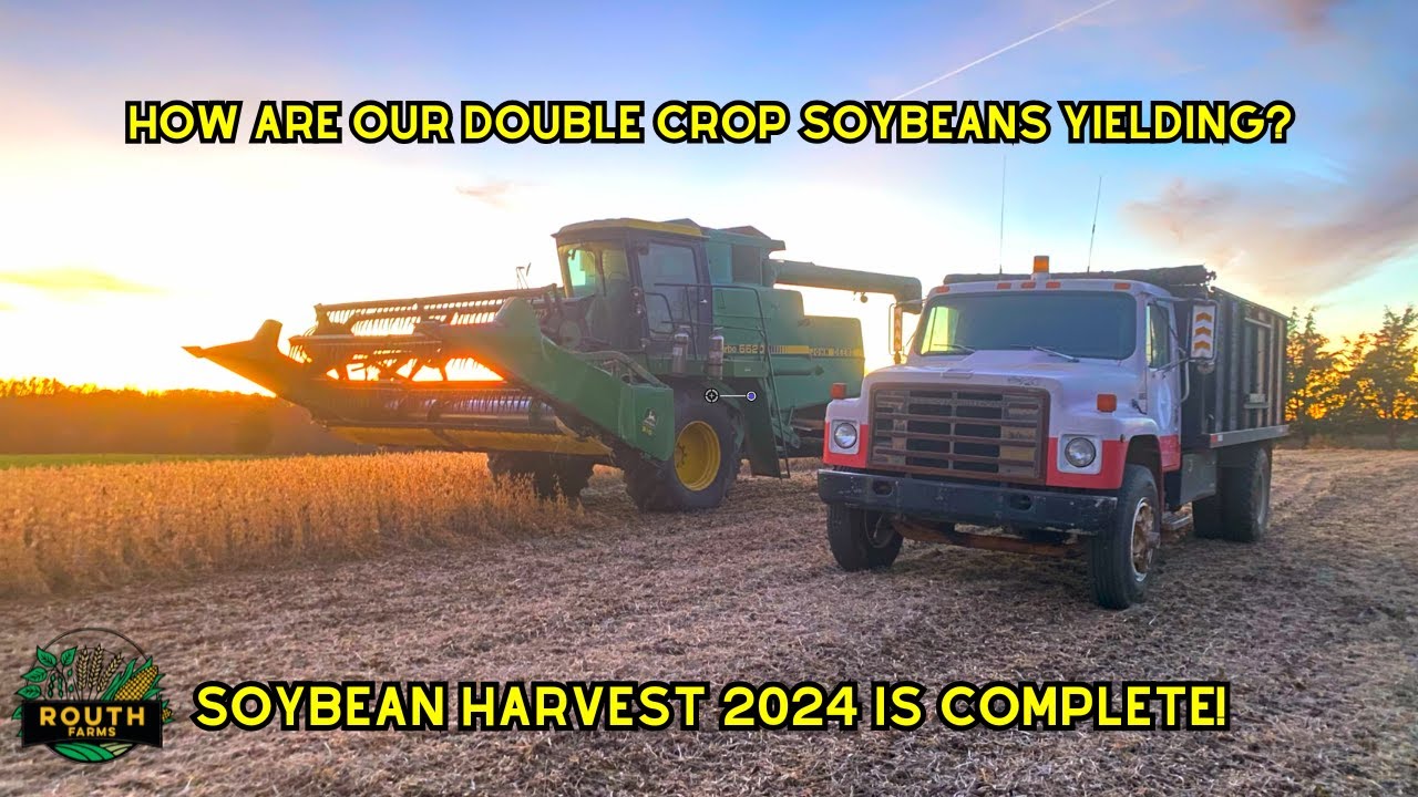 How Are Our Double Crop Soybeans Yielding? | 2024 Harvest is Complete!