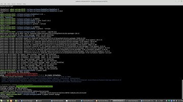 Eclipse Pydev Remote Debugger Use