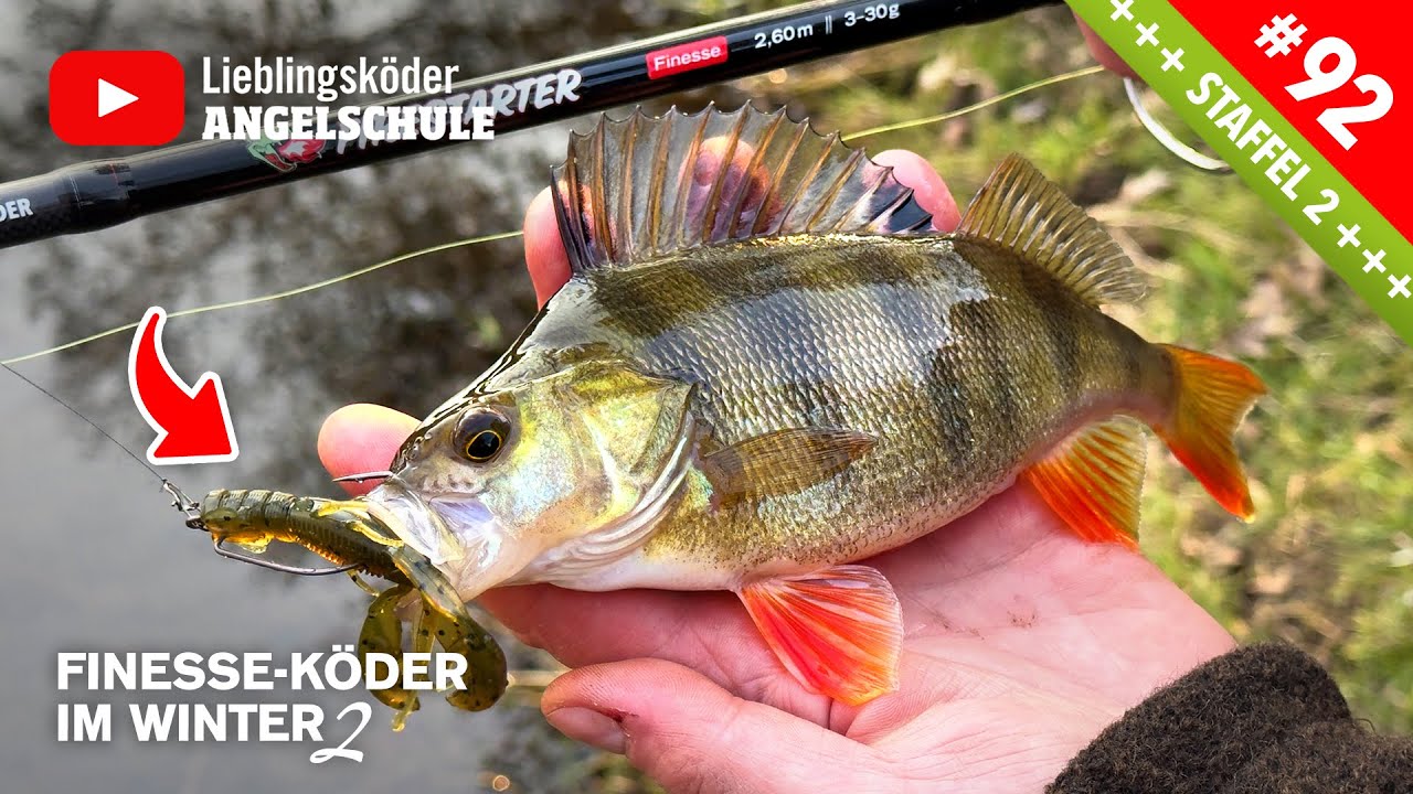 Finesse-Kder am Jigkopf im Test  Barsche liebens!