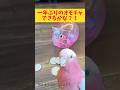【オウムのすごい記憶力】一年ぶりのオモチャ クリアできるかな？【おしゃべりモモイロインコの春ちゃん】