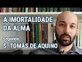 A IMORTALIDADE DA ALMA - Segundo São Tomás de Aquino