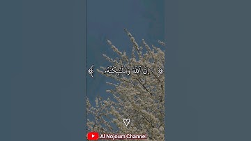 سورة الأحزاب من الآية 56 إلى 58 - بصوت القارئ الشيخ محمود كلداري