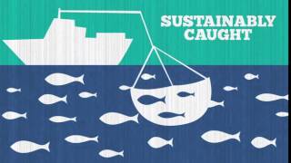 Sustainably Caught