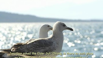 Jonathan Livingston Seagull; Itzhak Perlman - Sarasate: Zigeunerweisen