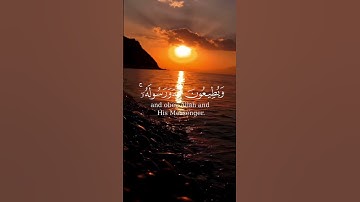 والمؤمنون والمؤمنات ، من سورة التوبة للقارئ ياسر الدوسري #ياسر_الدوسري #quran #قرآن #تلاوة_خاشعة