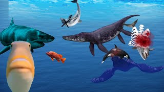 A pliosaur found in oceanic testing 2!
