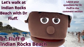 Indian Rocks Beach with Dr Fluff. Walking and talking on beach.