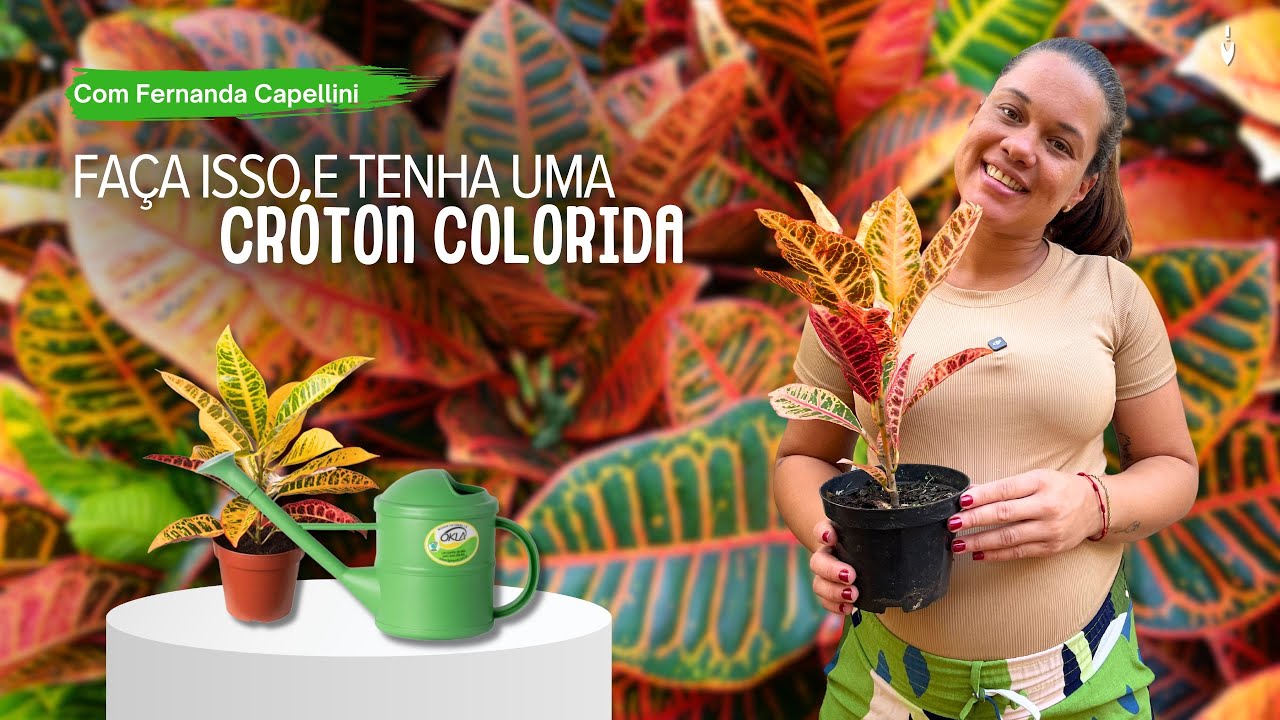 FAÇA isso e TENHA uma CRÓTON COLORIDA o ANO INTEIRO (cuidados e dicas)