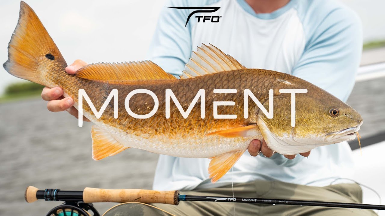 NEW | TFO MOMENT Fly Rod Series - YouTube