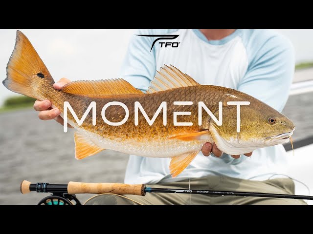 NEW | TFO MOMENT Fly Rod Series - YouTube