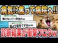 【爆笑】猫編ドクターに言われた衝撃的な言葉【2ch面白いスレ】