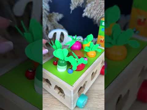 Дерев'яна каталка з сортером та магнітною грою для дітей 21.4х16х9 см галявина з овочами на коліщатках, видео 1