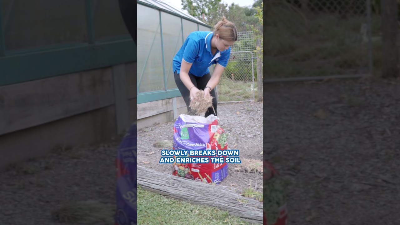 5 Reasons To Use Sugar Cane Mulch