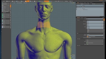 Modo Flex Tool ~ Beginner Answer for simple posing in Modo 10.2