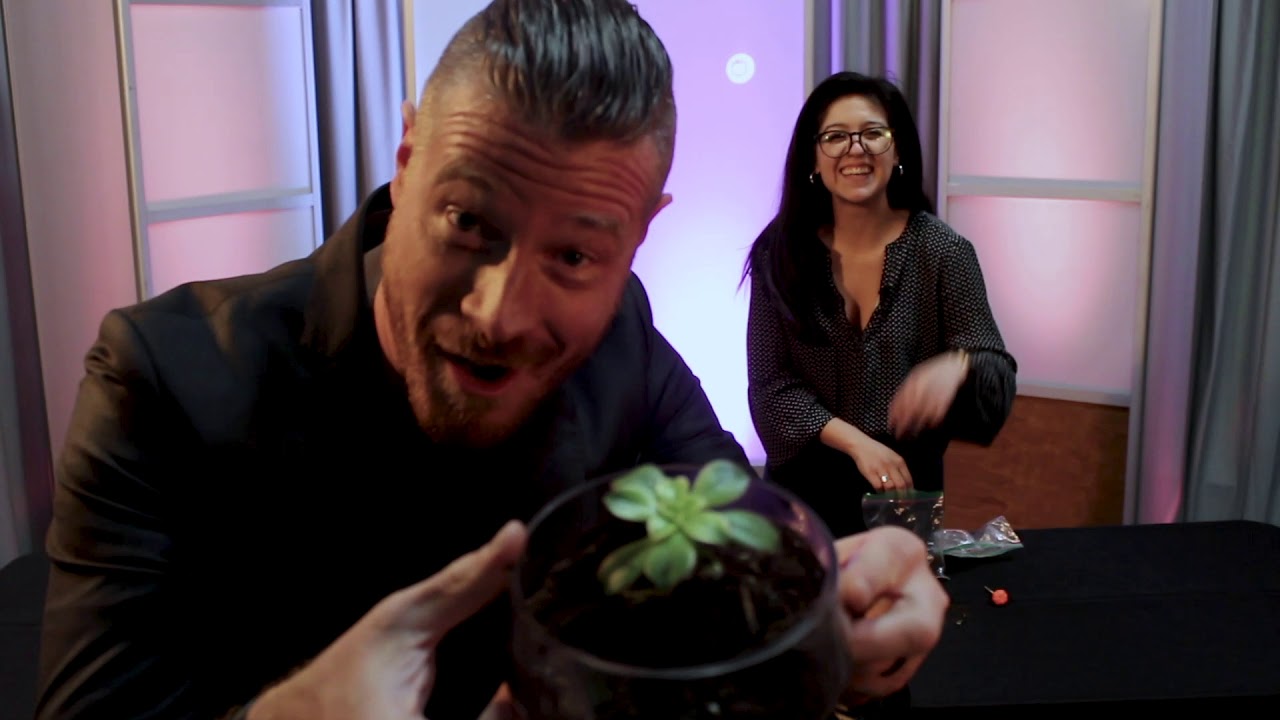 Virtual Event Options from NEP