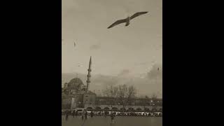 Nenni de nenni.. Pullu tepe..