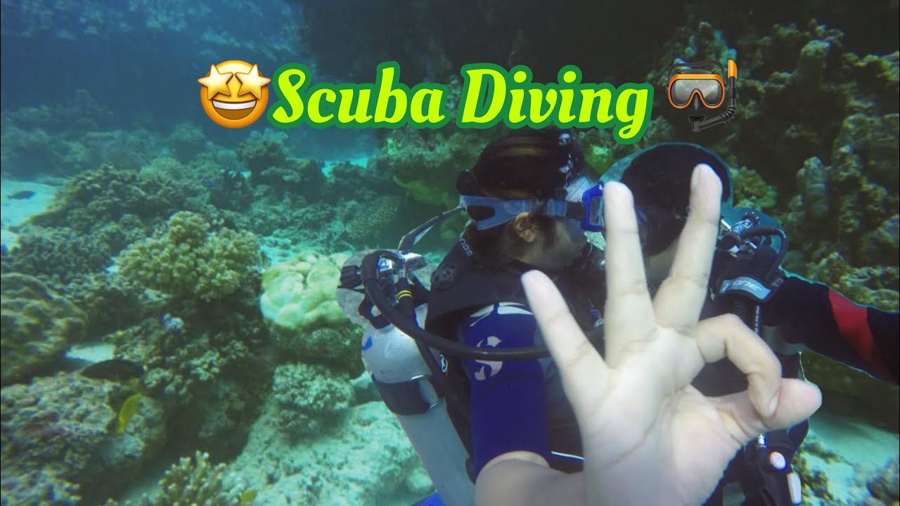 Scuba Diving And snorkeling in Yanbu Saudi Arabia Red Sea 🥽🤿🏊‍♂️🏊‍♀️🛥