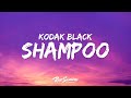 Kodak Black - Shampoo (Lyrics)