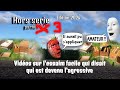 S04E04 | HORS SÉRIE | démontage de l'agressive |•Partie 3 #apiculture #beekeeper #bee
