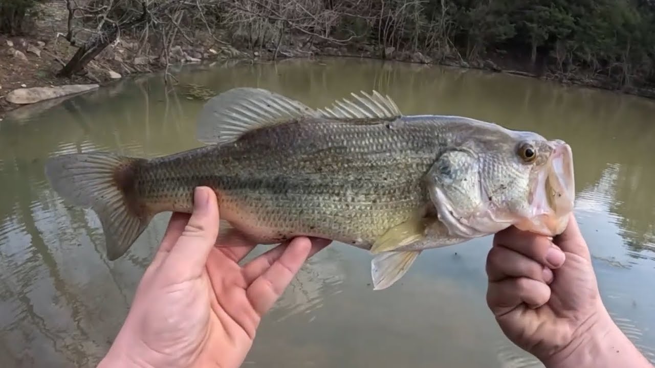 March Bass Fishing Vlog!